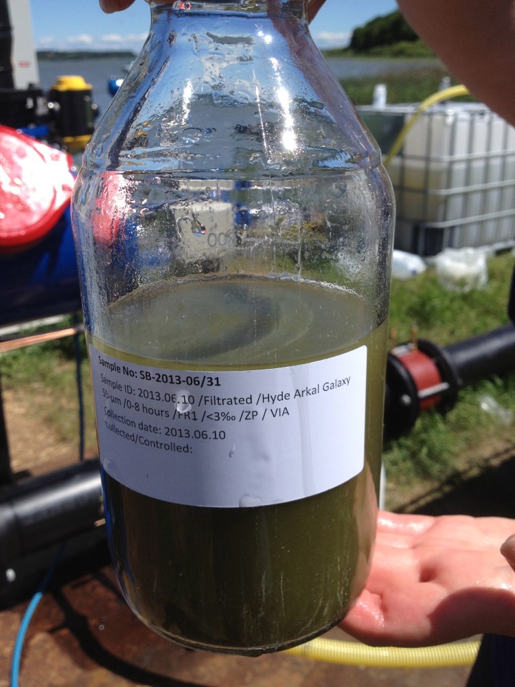 Water quality sample collection for BWMS selection